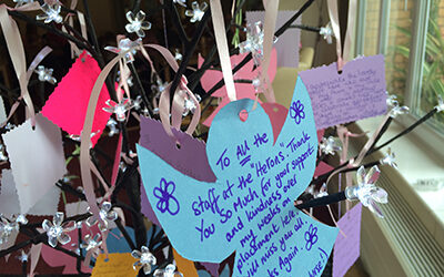 Staff Appreciation Days 2014